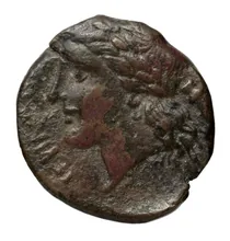coin rev