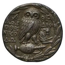 Antiloch athens rev