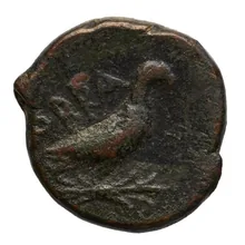 coin rev