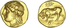 coin rev