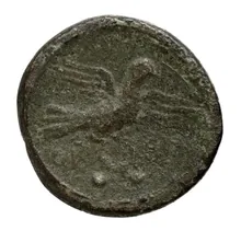 coin rev