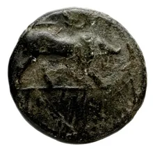 Timar athens obv