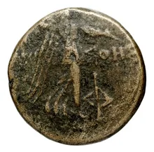 coin rev