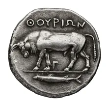 coin rev