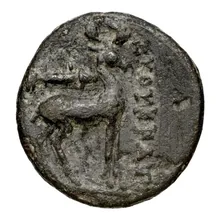 coin rev