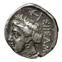coin rev
