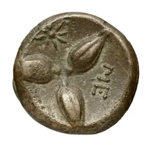coin rev