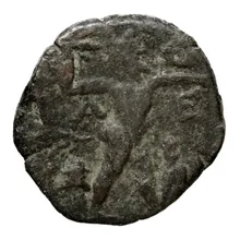 coin rev
