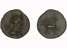 coin rev