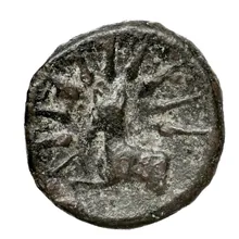 coin rev