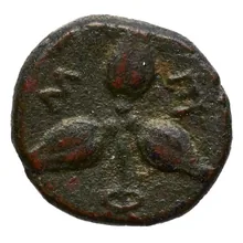 coin rev