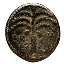 coin rev