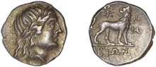 coin rev