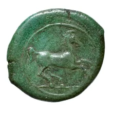 coin rev