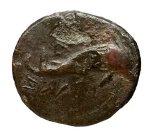 coin rev