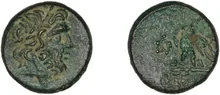 coin rev