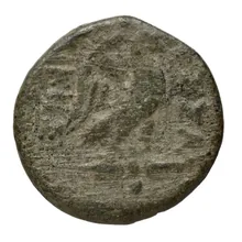 coin rev