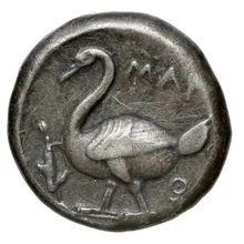 coin rev