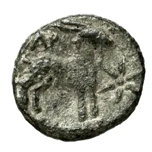 coin rev