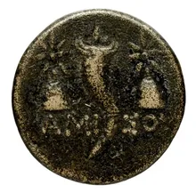 coin rev