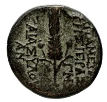 coin rev