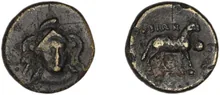 coin rev