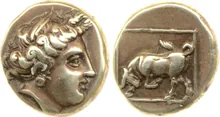 coin rev