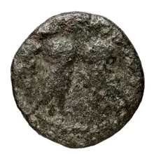 coin rev