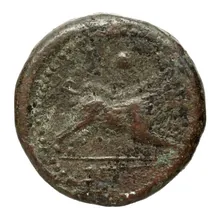 coin rev