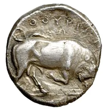coin rev
