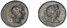coin rev