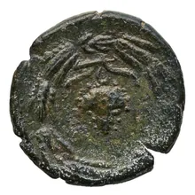 coin rev