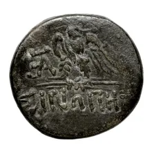 coin rev
