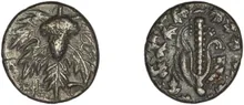 coin obv