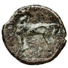 coin rev