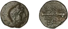 coin rev