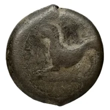 coin rev