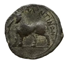 coin rev