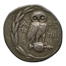 Timarchides athens rev