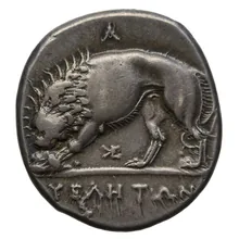 coin rev