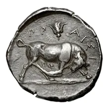 coin rev