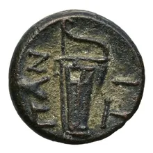 coin rev