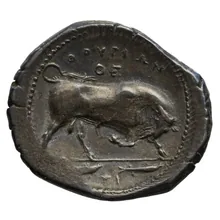 coin rev