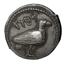 coin obv