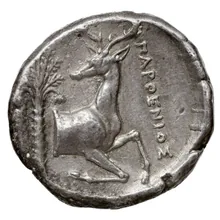 coin rev