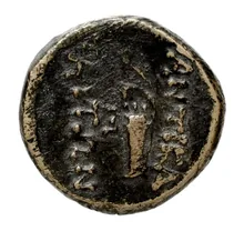 coin rev