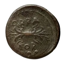 coin rev