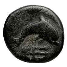 coin rev