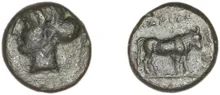 coin rev