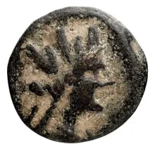 coin obv
